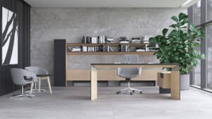 білий кабінет керівника - Toka білий кабінет керівника